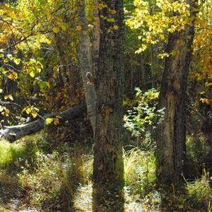 Meet your Posher, Carla